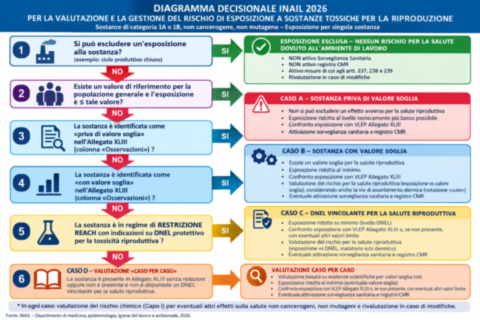 Sostanze Reprotossiche Di Categoria 1A E 1B: Criteri Di Valutazione, Valori Soglia, DNEL, Limiti Di Esposizione Professionale, Sorveglianza Sanitaria E Obblighi Del Datore Di Lavoro Ai Sensi Del D.Lgs. 81/2008. Sostanze Reprotossiche Di Categoria 1A E 1B: Criteri Di Valutazione, Valori Soglia, DNEL, Limiti Di Esposizione Professionale, Sorveglianza Sanitaria E Obblighi Del Datore Di Lavoro Ai Sensi Del D.Lgs. 81/2008.
